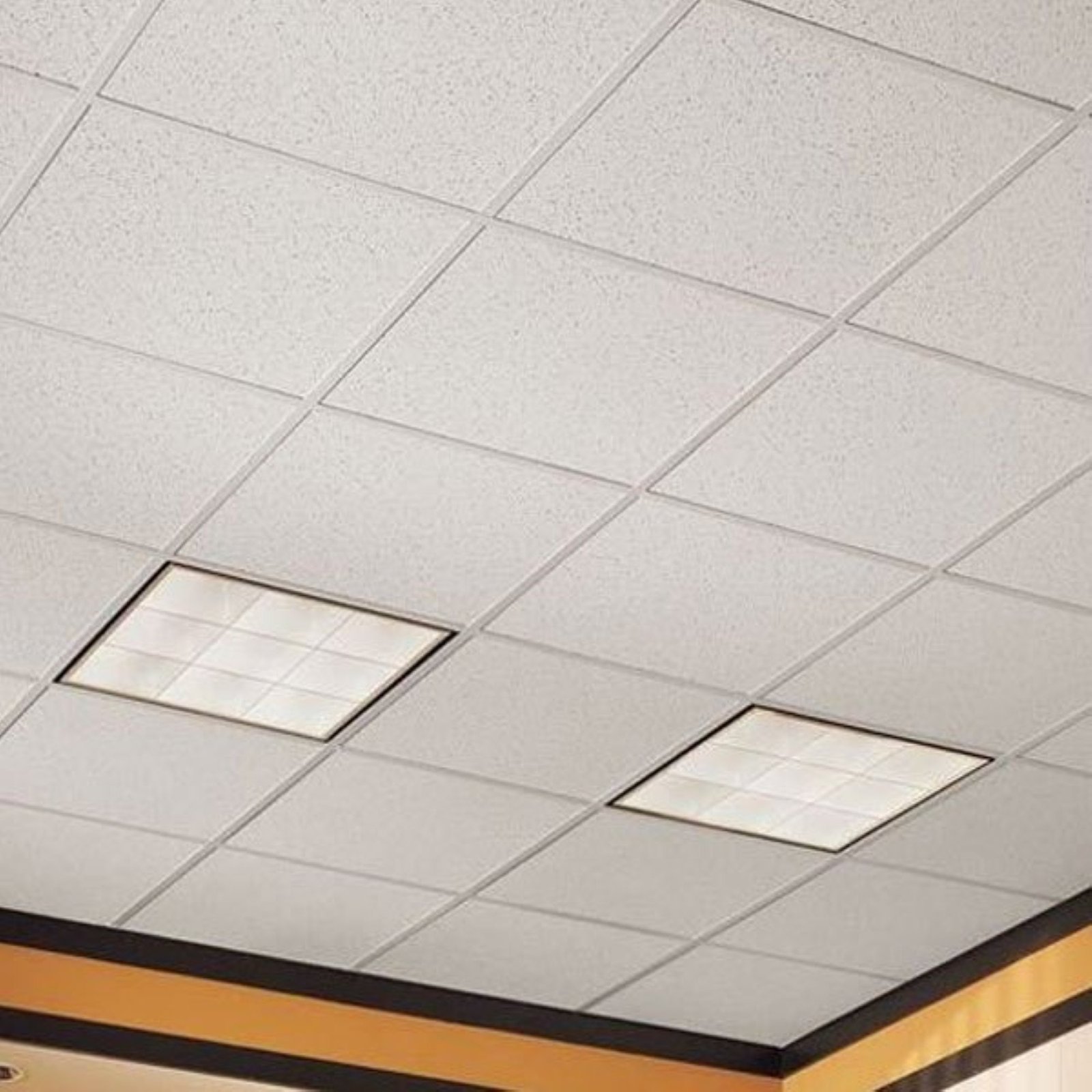 Hub Ceiling Ceiling Hub Premium